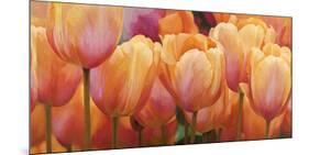 Summer Tulips-Luca Villa-Mounted Art Print