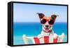 Summer Vacation Dog-Javier Brosch-Framed Stretched Canvas