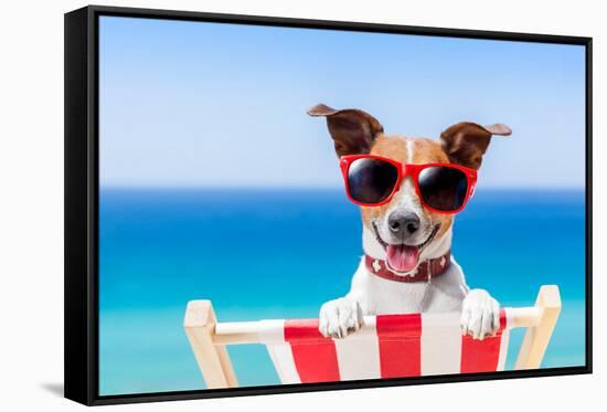 Summer Vacation Dog-Javier Brosch-Framed Stretched Canvas