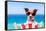 Summer Vacation Dog-Javier Brosch-Framed Stretched Canvas