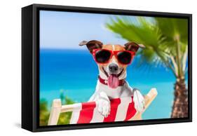 Summer Vacation Dog-Javier Brosch-Framed Stretched Canvas