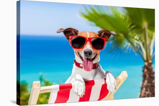 Summer Vacation Dog-Javier Brosch-Stretched Canvas