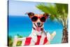 Summer Vacation Dog-Javier Brosch-Stretched Canvas