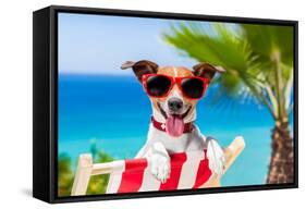 Summer Vacation Dog-Javier Brosch-Framed Stretched Canvas