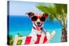 Summer Vacation Dog-Javier Brosch-Stretched Canvas