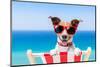 Summer Vacation Dog-Javier Brosch-Mounted Photographic Print