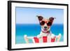 Summer Vacation Dog-Javier Brosch-Framed Photographic Print