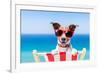 Summer Vacation Dog-Javier Brosch-Framed Photographic Print