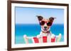 Summer Vacation Dog-Javier Brosch-Framed Photographic Print