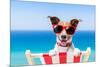 Summer Vacation Dog-Javier Brosch-Mounted Photographic Print