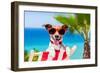 Summer Vacation Dog-Javier Brosch-Framed Photographic Print