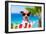 Summer Vacation Dog-Javier Brosch-Framed Photographic Print