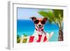 Summer Vacation Dog-Javier Brosch-Framed Photographic Print