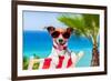 Summer Vacation Dog-Javier Brosch-Framed Photographic Print