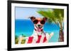 Summer Vacation Dog-Javier Brosch-Framed Photographic Print