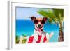 Summer Vacation Dog-Javier Brosch-Framed Photographic Print