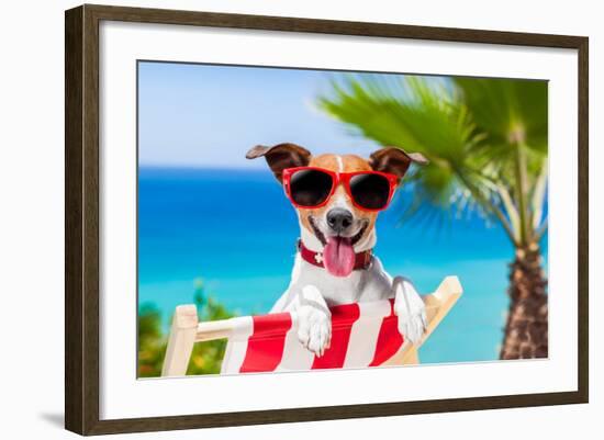 Summer Vacation Dog-Javier Brosch-Framed Photographic Print