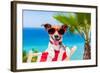 Summer Vacation Dog-Javier Brosch-Framed Photographic Print