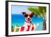 Summer Vacation Dog-Javier Brosch-Framed Photographic Print