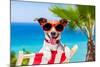 Summer Vacation Dog-Javier Brosch-Mounted Photographic Print