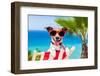 Summer Vacation Dog-Javier Brosch-Framed Photographic Print