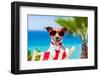 Summer Vacation Dog-Javier Brosch-Framed Photographic Print