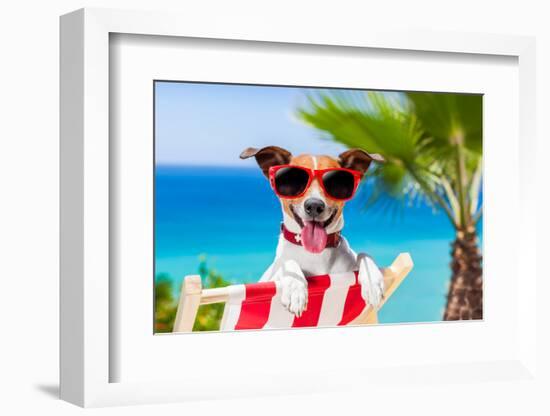 Summer Vacation Dog-Javier Brosch-Framed Photographic Print