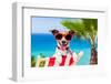 Summer Vacation Dog-Javier Brosch-Framed Photographic Print