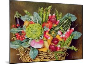 Summer Vegetables, 1995-E.B. Watts-Mounted Giclee Print