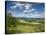 Summer View East Along the Surrey Hills, from White Down, Dorking in the Distance, North Downs, Sur-John Miller-Stretched Canvas