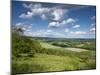 Summer View East Along the Surrey Hills, from White Down, Dorking in the Distance, North Downs, Sur-John Miller-Mounted Photographic Print