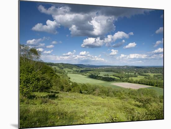 Summer View East Along the Surrey Hills, from White Down, Dorking in the Distance, North Downs, Sur-John Miller-Mounted Photographic Print