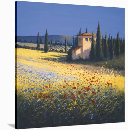 Summer Villa-David Short-Stretched Canvas