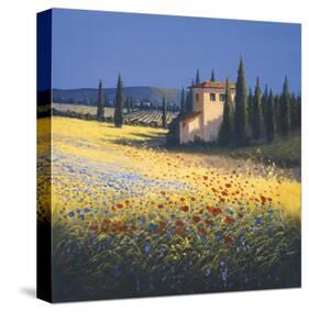 Summer Villa-David Short-Stretched Canvas