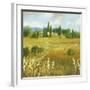 Summer Villa-Hazel Barker-Framed Giclee Print