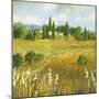 Summer Villa-Hazel Barker-Mounted Giclee Print