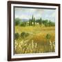 Summer Villa-Hazel Barker-Framed Giclee Print