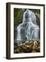 Summer Waterfall-Brenda Petrella Photography LLC-Framed Giclee Print