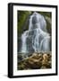 Summer Waterfall-Brenda Petrella Photography LLC-Framed Giclee Print