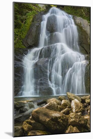 Summer Waterfall-Brenda Petrella Photography LLC-Mounted Giclee Print