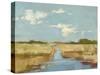 Summer Wetland I-Ethan Harper-Stretched Canvas