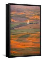 Summer Wheat, Barley and Lentil Fields, Washington, Palouse Area-Stuart Westmorland-Framed Stretched Canvas