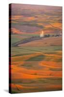 Summer Wheat, Barley and Lentil Fields, Washington, Palouse Area-Stuart Westmorland-Stretched Canvas