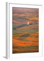 Summer Wheat, Barley and Lentil Fields, Washington, Palouse Area-Stuart Westmorland-Framed Photographic Print