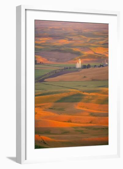 Summer Wheat, Barley and Lentil Fields, Washington, Palouse Area-Stuart Westmorland-Framed Photographic Print