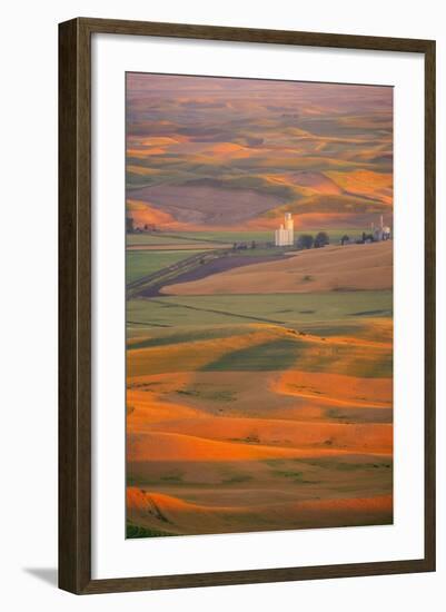 Summer Wheat, Barley and Lentil Fields, Washington, Palouse Area-Stuart Westmorland-Framed Photographic Print