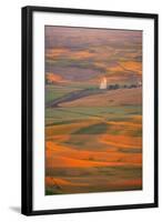 Summer Wheat, Barley and Lentil Fields, Washington, Palouse Area-Stuart Westmorland-Framed Photographic Print