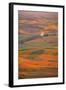 Summer Wheat, Barley and Lentil Fields, Washington, Palouse Area-Stuart Westmorland-Framed Photographic Print