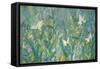 Summer Whispers-Sue Davis-Framed Stretched Canvas