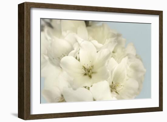 Summer Whites-Julie Greenwood-Framed Art Print